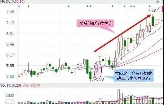 2025澳门天天彩期期精准-准确资料解释落实