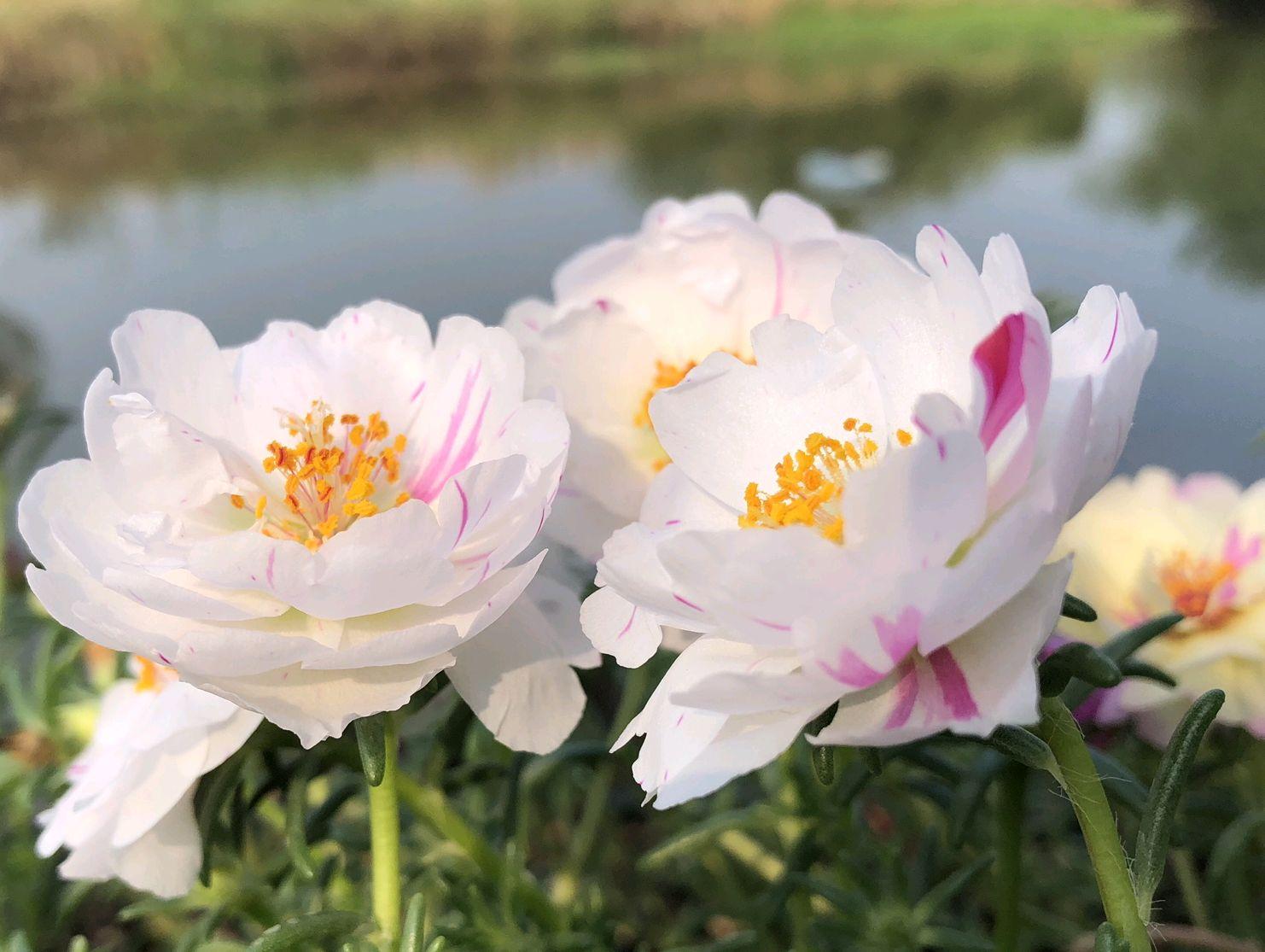 废材最新地址，探索与启示