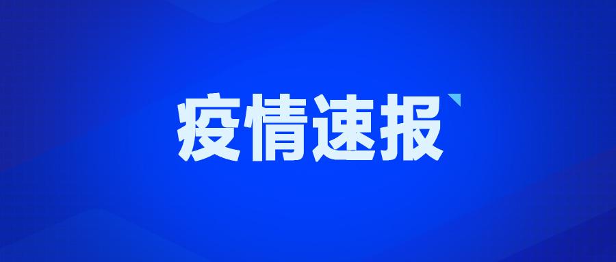 宁夏确诊病例最新动态，全面防控，积极应对疫情挑战