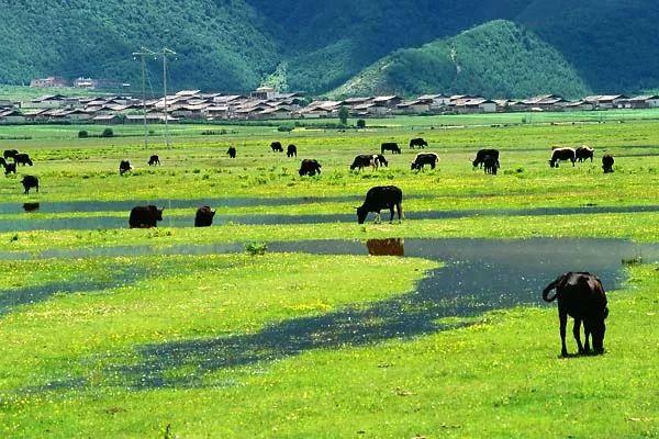 云南旅行最新消息，探索神秘之地的全新体验