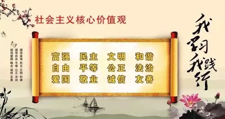 赞颂丽生活最新版，品质生活的全新篇章